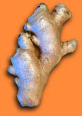 Fotografie von einer Ingwerwurzel